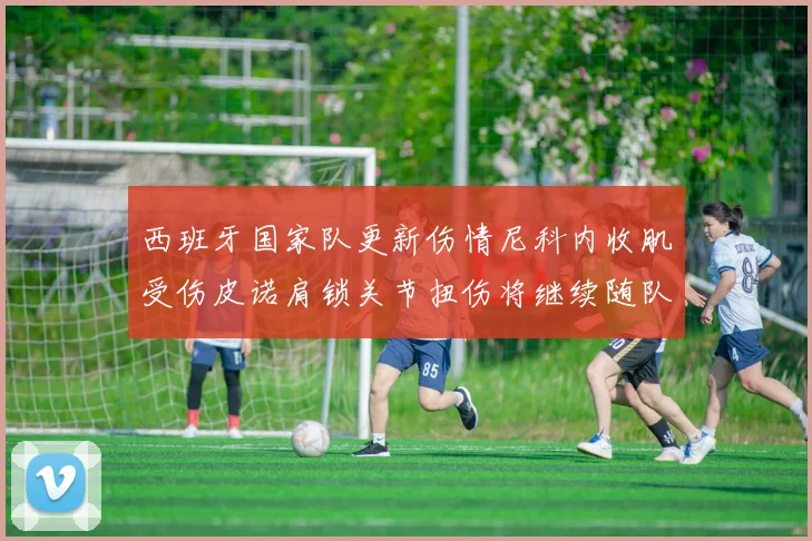 西班牙国家队更新伤情尼科内收肌受伤皮诺肩锁关节扭伤将继续随队训练