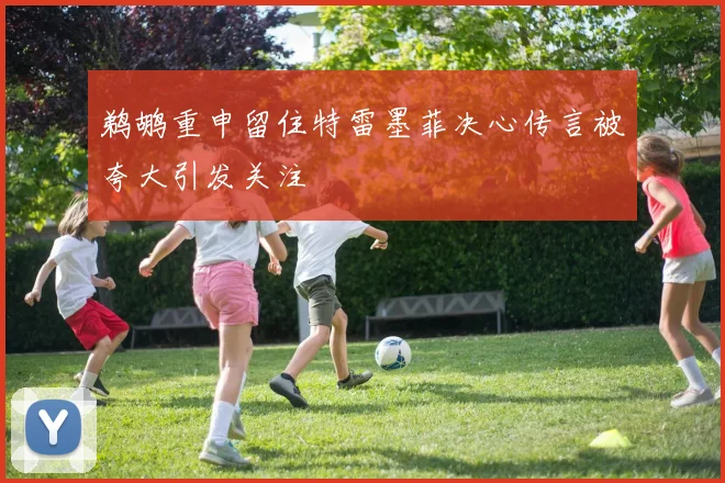 鹈鹕重申留住特雷墨菲决心传言被夸大引发关注